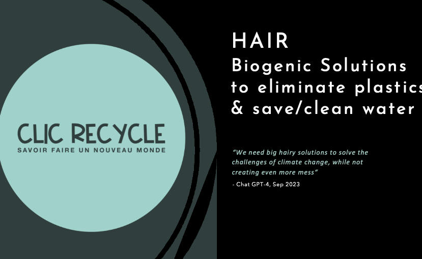 Clic Recycle